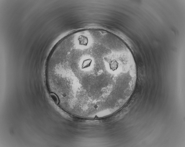 X0000110321142200906111447