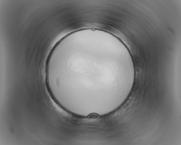 X0000110321143200906111447