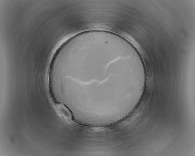 X0000110321144200906111447