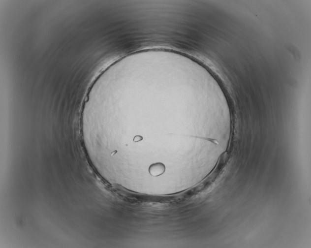 X0000110321145200906111447