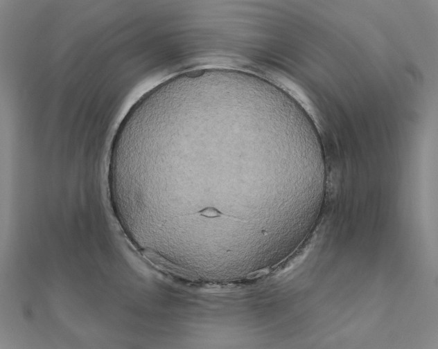 X0000110321146200906111447