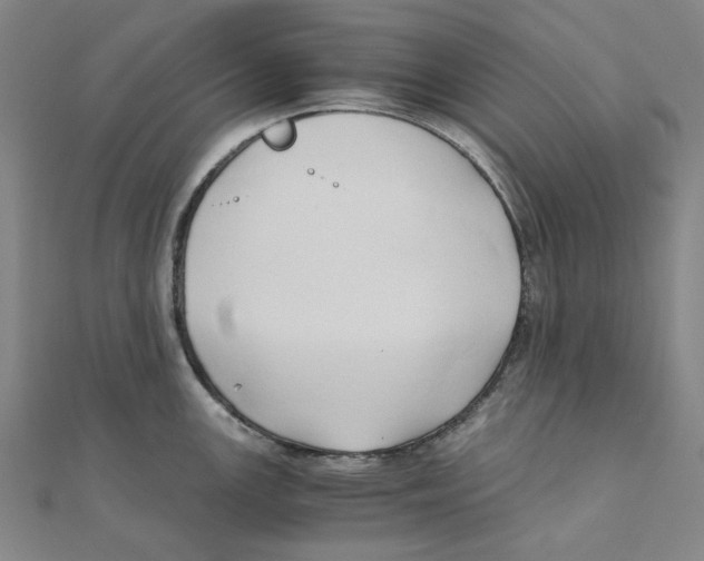 X0000110321147200906111447