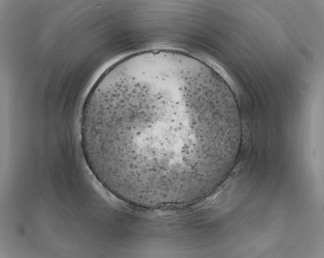 X0000110321148200906111447