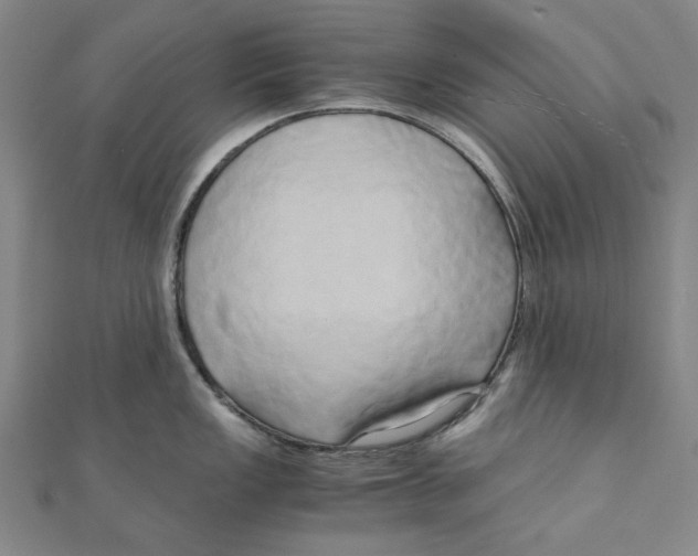 X0000110321149200906111447