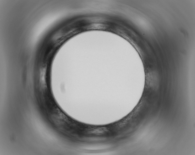 X0000110321150200906111447