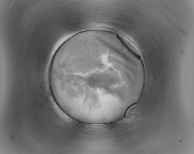 X0000110321152200906111447