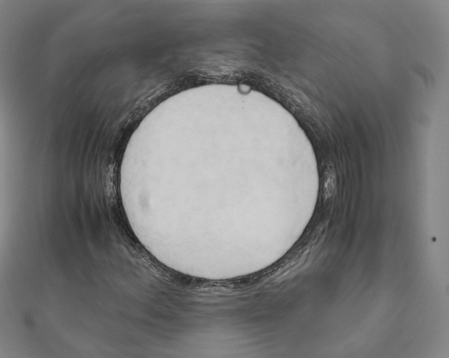 X0000110321156200906111446