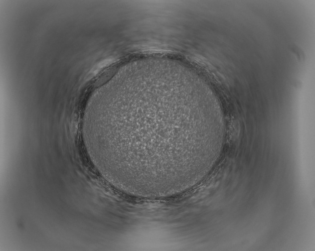 X0000110321157200906111446