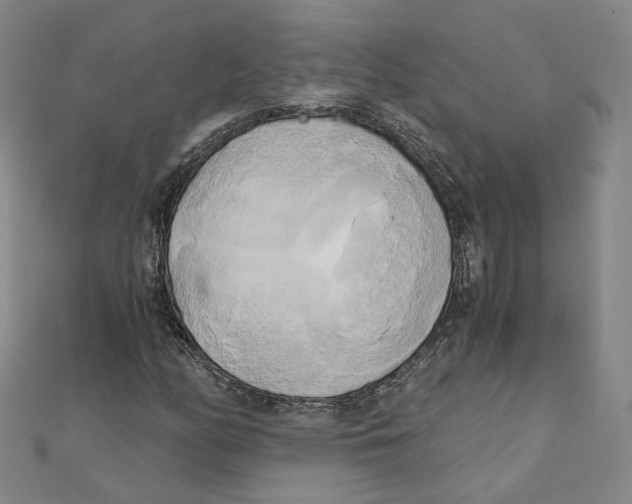 X0000110321158200906111446