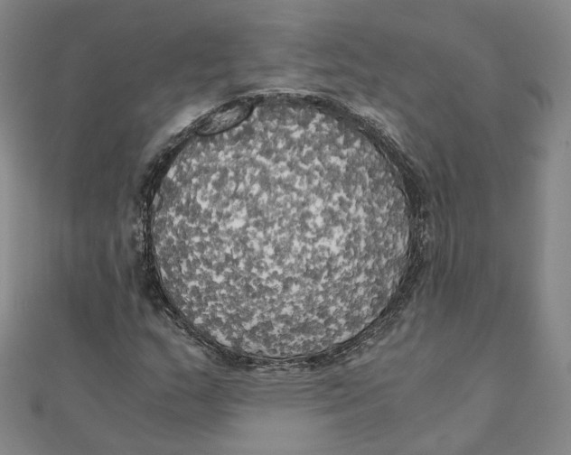 X0000110321159200906111446