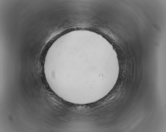 X0000110321160200906111446