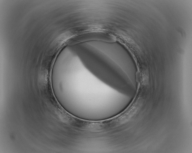 X0000110321161200906111446