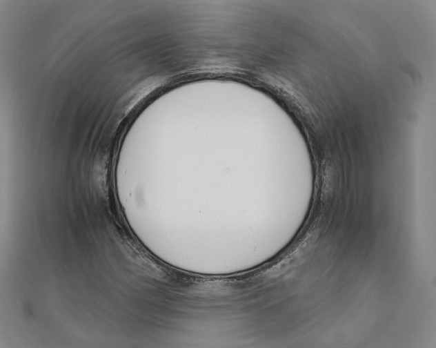 X0000110321162200906111446