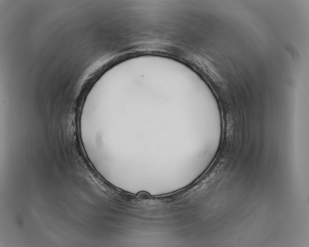 X0000110321164200906111446