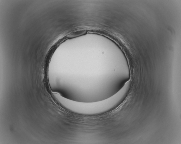 X0000110321165200906111446