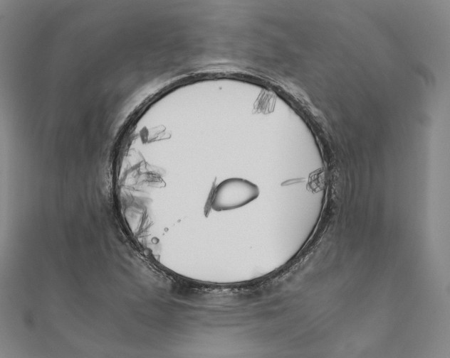 X0000110321167200906111446