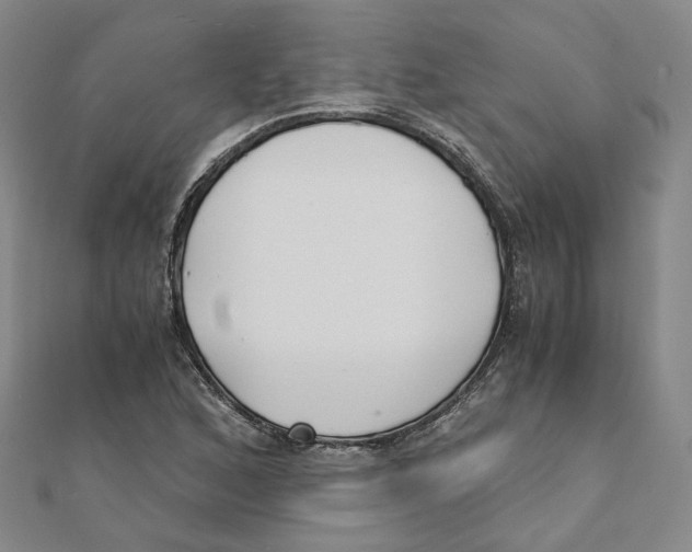 X0000110321168200906111446