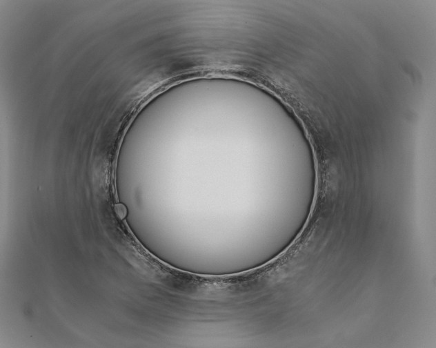 X0000110321169200906111446