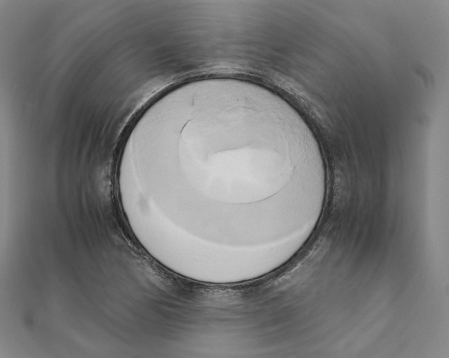 X0000110321170200906111446