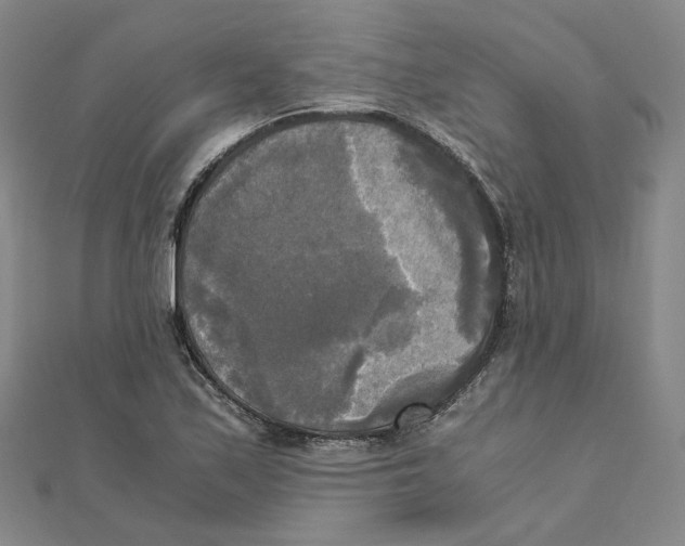 X0000110321171200906111446