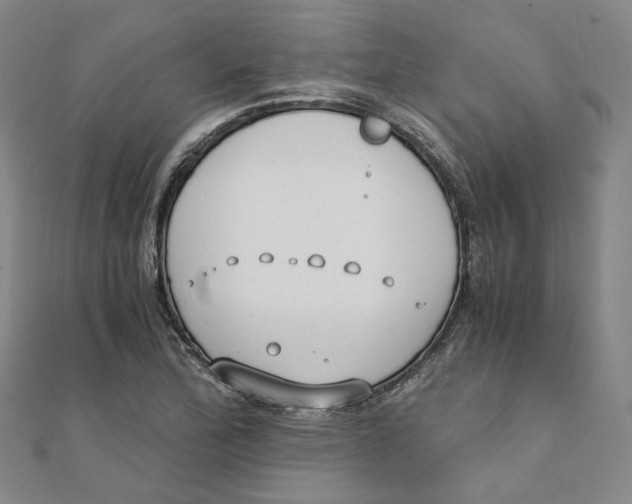 X0000110321172200906111446