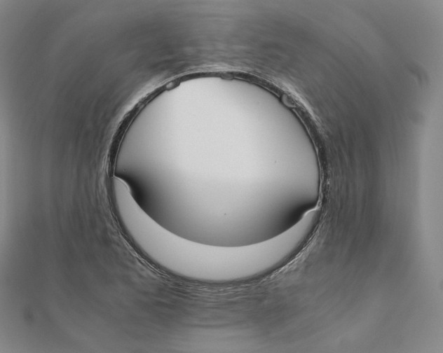 X0000110321173200906111446