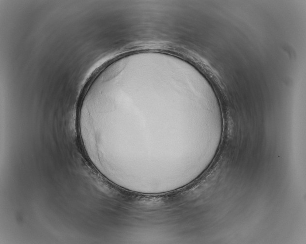 X0000110321174200906111446