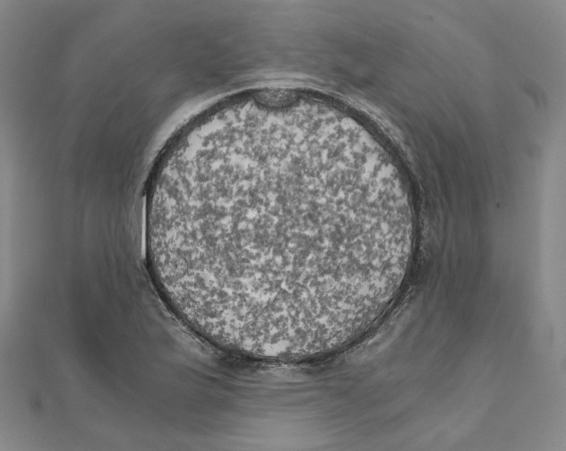 X0000110321175200906111446