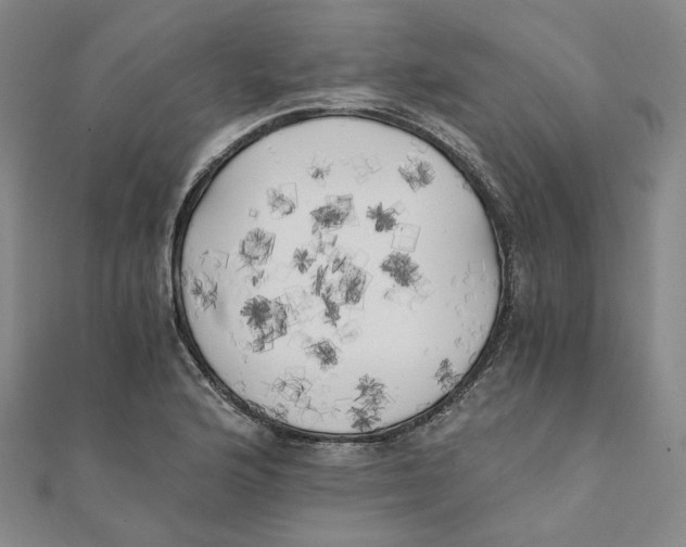 X0000110321176200906111446