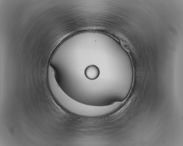 X0000110321177200906111446