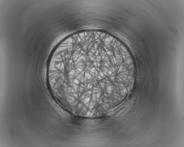 X0000110321179200906111446