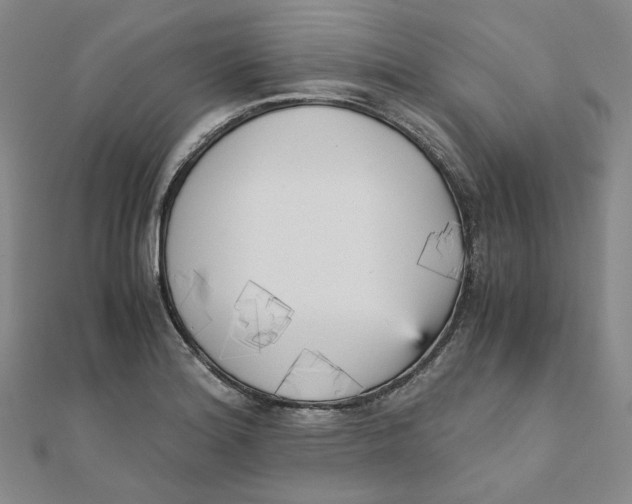 X0000110321180200906111446