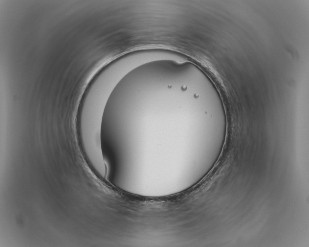 X0000110321181200906111446