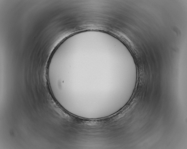 X0000110321182200906111446