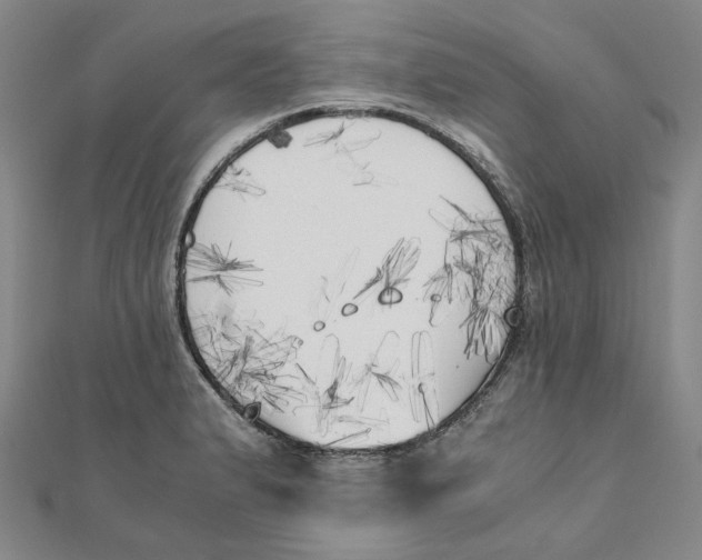 X0000110321183200906111446