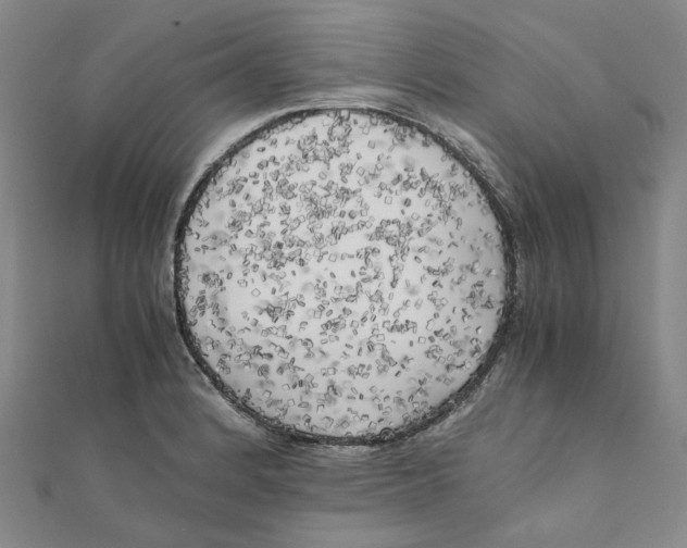 X0000110321184200906111446