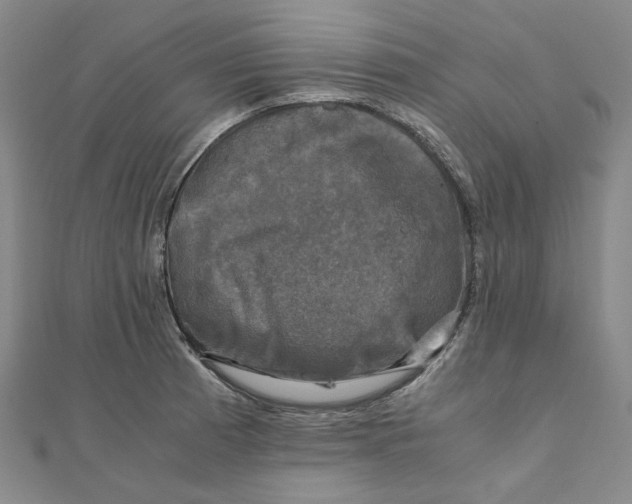 X0000110321185200906111446