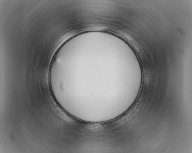 X0000110321186200906111446