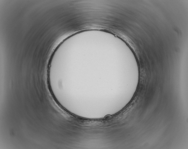 X0000110321187200906111446