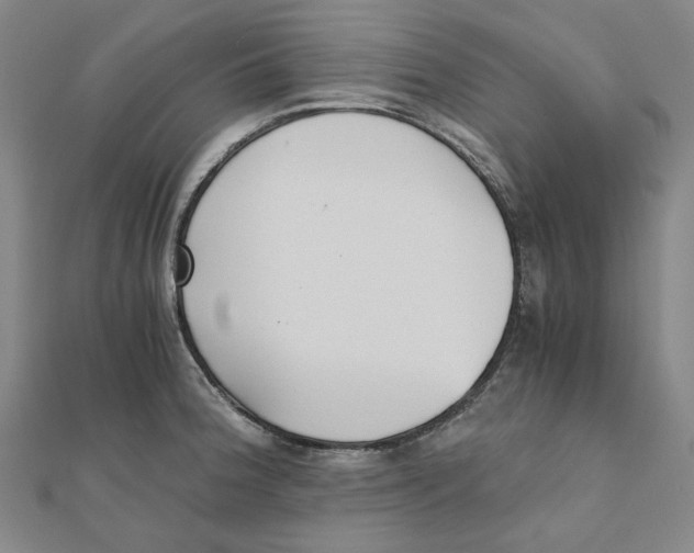 X0000110321188200906111446