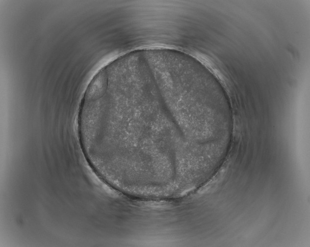 X0000110321189200906111446