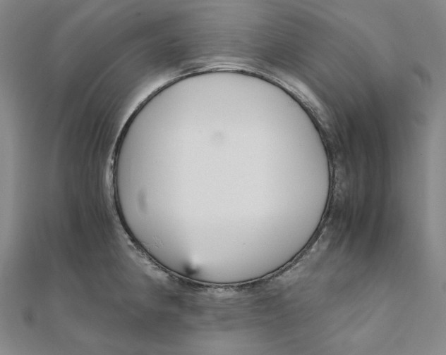 X0000110321190200906111446