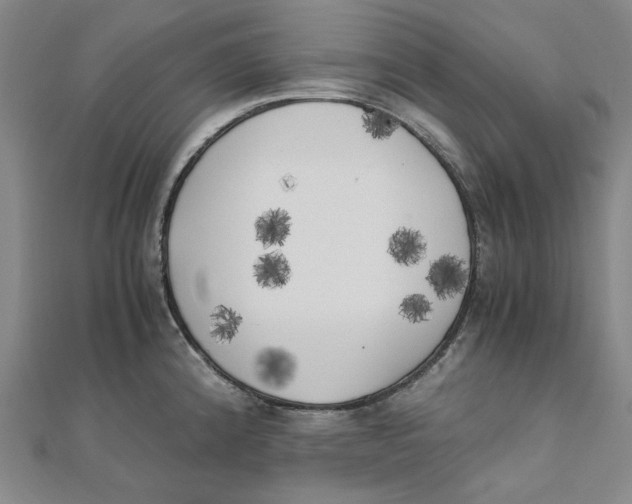 X0000110321192200906111446