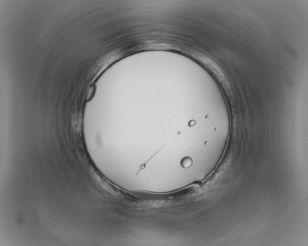 X0000110321193200906111446