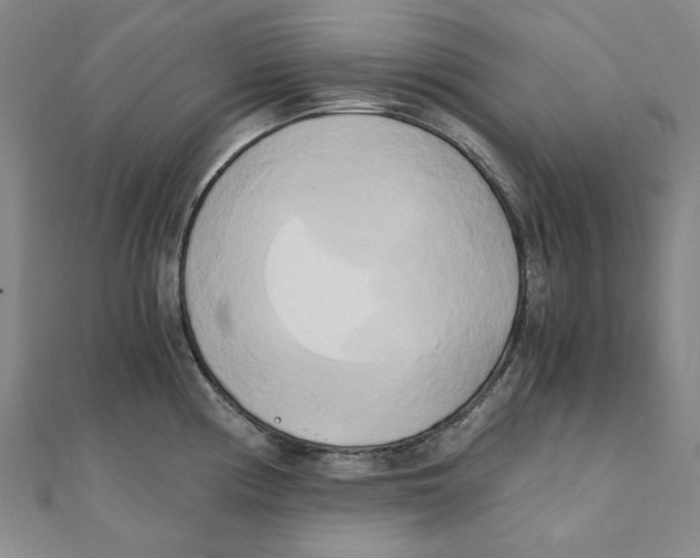 X0000110321194200906111446