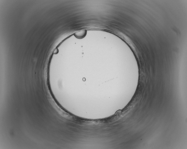 X0000110321195200906111446