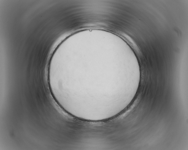 X0000110321196200906111446