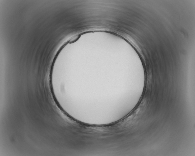 X0000110321197200906111446