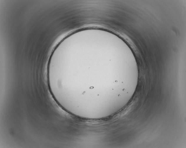 X0000110321199200906111446