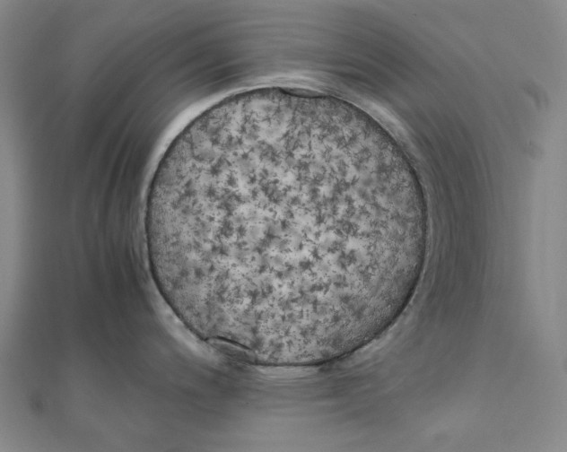 X0000110321200200906111446